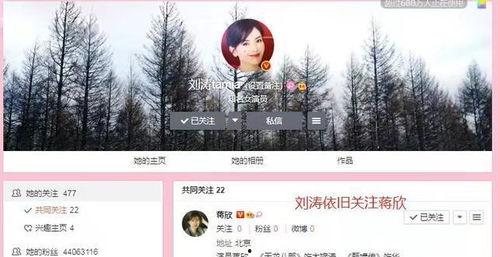 卓伟最新爆料一哥一姐,揭秘娱乐圈一哥一姐背后的惊人真相 第3张 卓伟最新爆料一哥一姐,揭秘娱乐圈一哥一姐背后的惊人真相 第3张