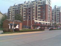 明珠大道最新爆料,揭秘城市交通新动脉的蜕变与未来