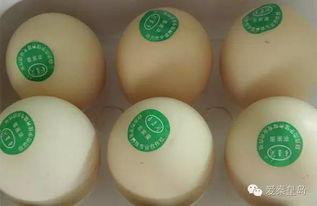 网友爆料鸡蛋视频大全,鸡蛋视频大全，揭秘烹饪技巧与美食诱惑